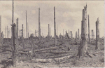 Zerchossene Walstellung bei Blamont - Mars 1918