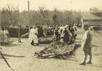 Nancy - Route de Toul - Atelier de camouflage - Etendage de treillages en rafia avant leur enroulement - 3 avril 1918