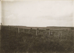 Ancerviller. Coupure entre la partie nord du Bois des Chiens et la partie sud du Bois Bénal - 9 septembre 1915