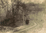 Forêt de Parroy. Camouflage d'une voie ferrée - 21 décembre 1916